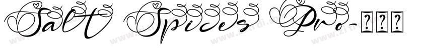 Salt Spices Pro字体转换